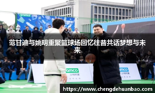 DB视讯官网