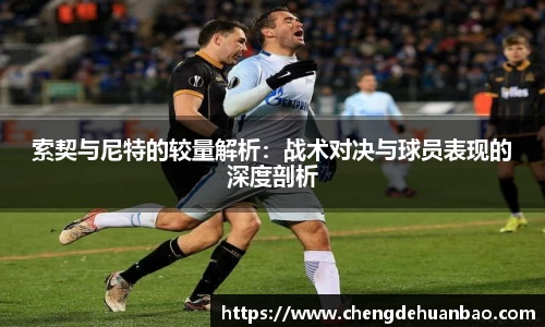 DB视讯真人
